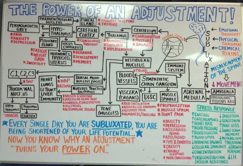 the-power-of-the-chiropractic-adjustment